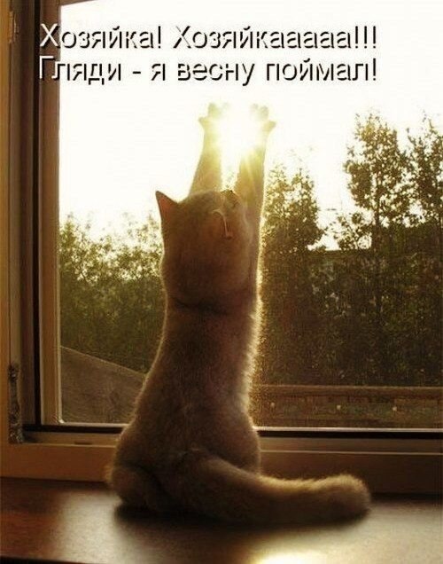    - 27  2021  22:36