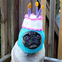 ���� ������, �����������, 31 ��� - ��������� 20 ��� 2021 � ������ ���� ����������