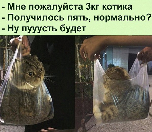   :D - 17  2022  18:35