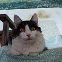 ���� Sergey, ����-�����������, 49 ��� - ��������� 21 ���� 2021 � ������ ���� ����������