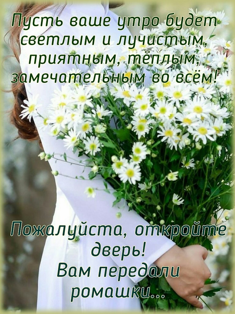 ПРИВЕТСТВИЯ и ПОЖЕЛАНИЯ, открытки на каждый день. опубликовал пост от 24  июня 2021 в 01:20 | Фотострана | Пост №2342447468