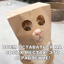 ���� ��������, ������ - ��������� 7 ��� 2021 � ������ ������ ��������