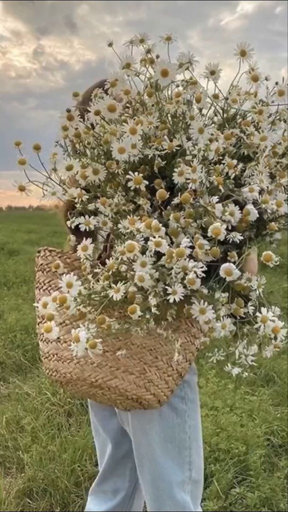 Самое страшное - КОГДА УХОДЯТ МОЛЧА. Иногда надо уходить молча. Нет смысла oбъясняться. Человек ...