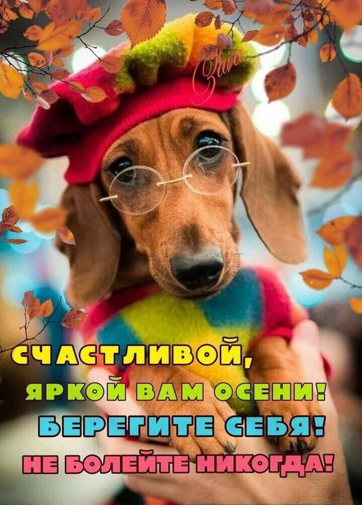  - 2  2021  12:11
