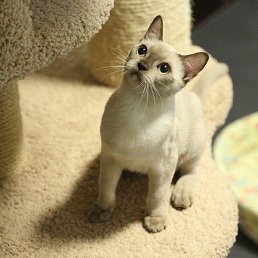 Dorrry, ��������, 23 ����