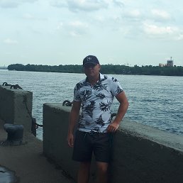 �������, ����������, 43 ����