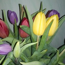 �, ������, 47 ���