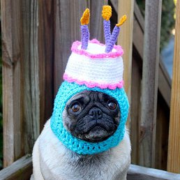 ������, �����������, 31 ���