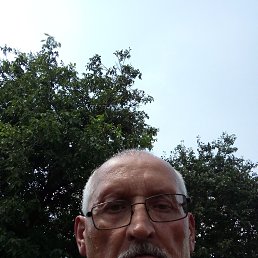 , 61,  
