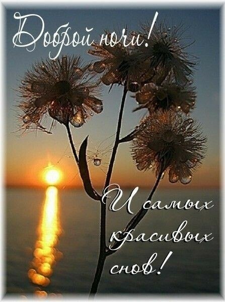 Удержи, удержи меня, жизнь! Можешь – за руки, можешь – за плечи, Потихоньку шепни мне: "Держись ...