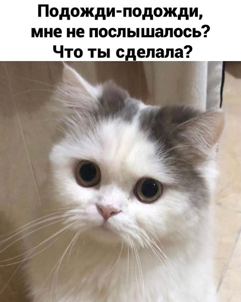    - 3