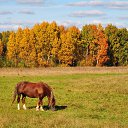 ���� �����, �������� - ��������� 9 ������� 2021 � ������ ���� ����������