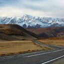  , -, 64  -  11  2022   - 