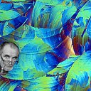 ���� �����, ���, 68 ��� - ��������� 26 ����� 2021 � ������ ���� ����������