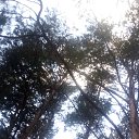 ���� Haver Santa, ���������� ����� - ��������� 28 ���� 2021 � ������ �:)�