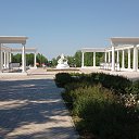  , , 43  -  19  2021   19.06.2021 - 