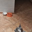 ���� ����, ������, 40 ��� - ��������� 13 ������� 2021 � ������ ���� ����� �����