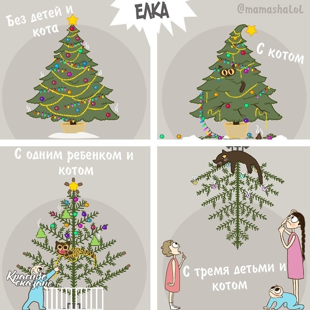   ,   Mamashalol,        . - 6
