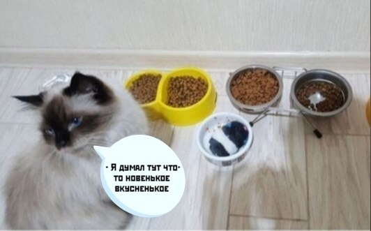       - 15  2021  23:28
