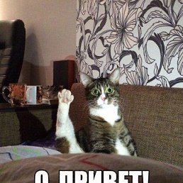 ,  , 42 