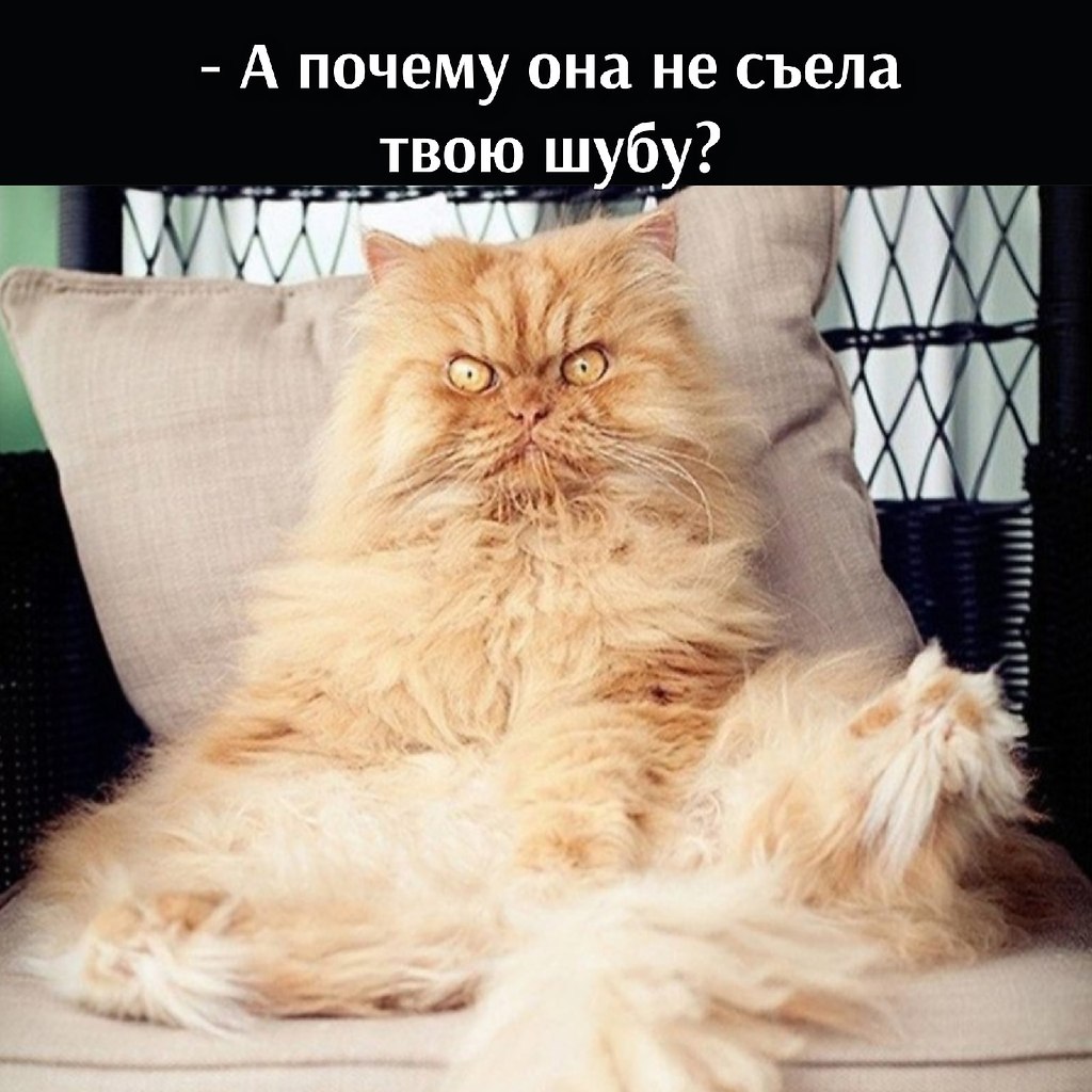       - 13  2021  10:01 - 3
