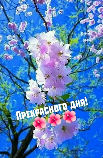 ����������� � ���������, �������� �� ������ ����. - 26 ������ 2021 � 14:05 - 7