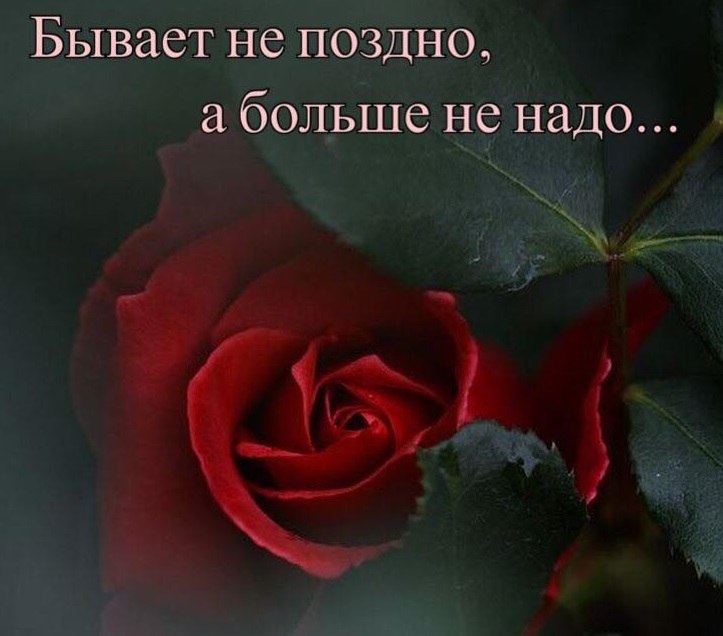   ,    ...    ,   .    ...