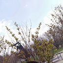 ���� ����, ������, 45 ��� - ��������� 18 ������ 2021 � ������ ���� ����������