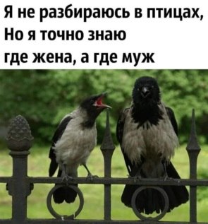   ! - 18  2021  08:56