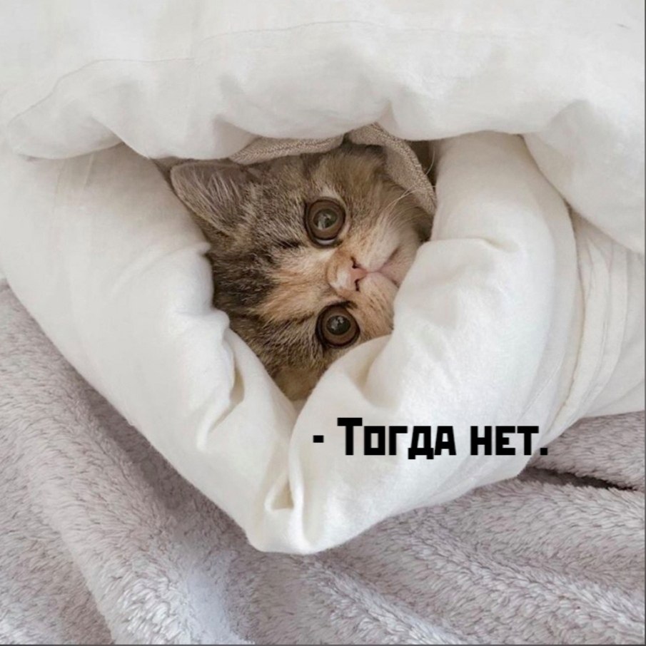       - 24  2021  10:14 - 4