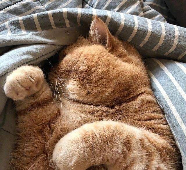  : ,    ,   ,     ... - 2