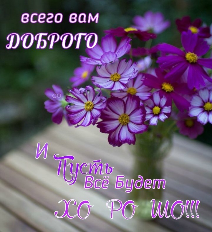   ,    . - 20  2021  22:23