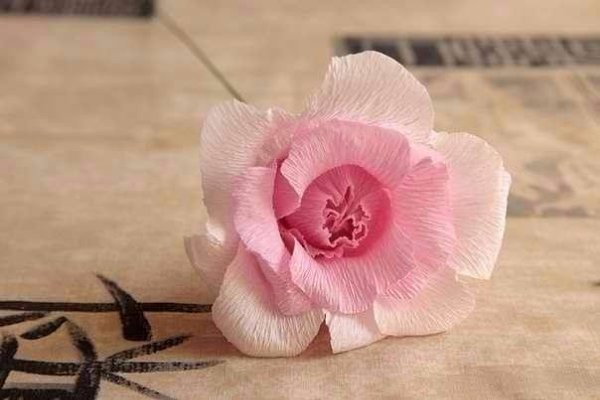 Розочка из гофрированной бумаги - легкий урок. - 7