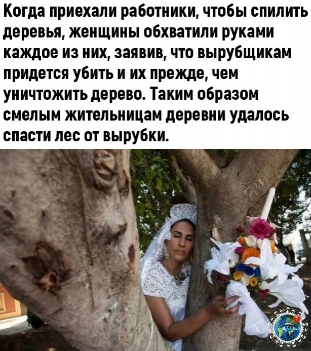 ��e�a�� ��� ��o�o��� �o���e, �e� ��o ���o �p��o�. - 3