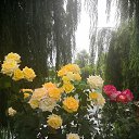 ���� �����, ��������� - ��������� 21 ���� 2021 � ������ �2021�