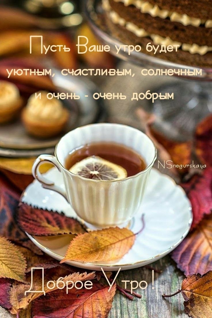 ***Victoria Viktorovna*** - 17  2021  09:37