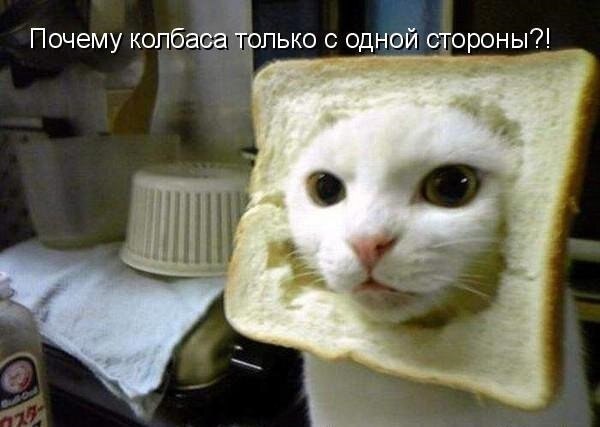    - 21  2021  03:27