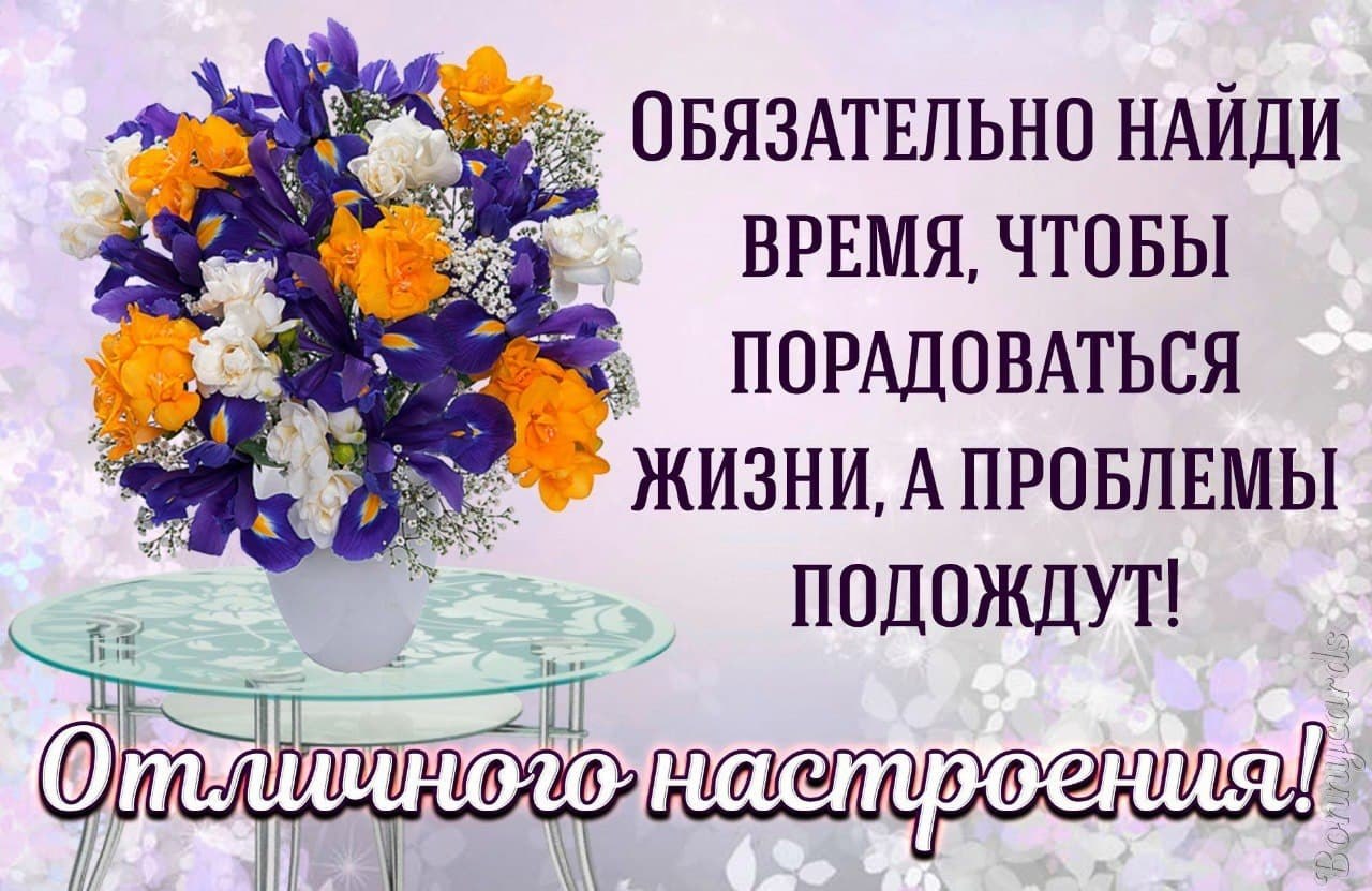 ПРИВЕТСТВИЯ и ПОЖЕЛАНИЯ, открытки на каждый день. опубликовал пост от 2  января 2022 в 10:27 | Фотострана | Пост №2413580252