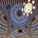  , , 47  -  28  2022     .