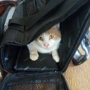 ���� �����, �������, 59 ��� - ��������� 13 ������� 2021 � ������ ���� ����������