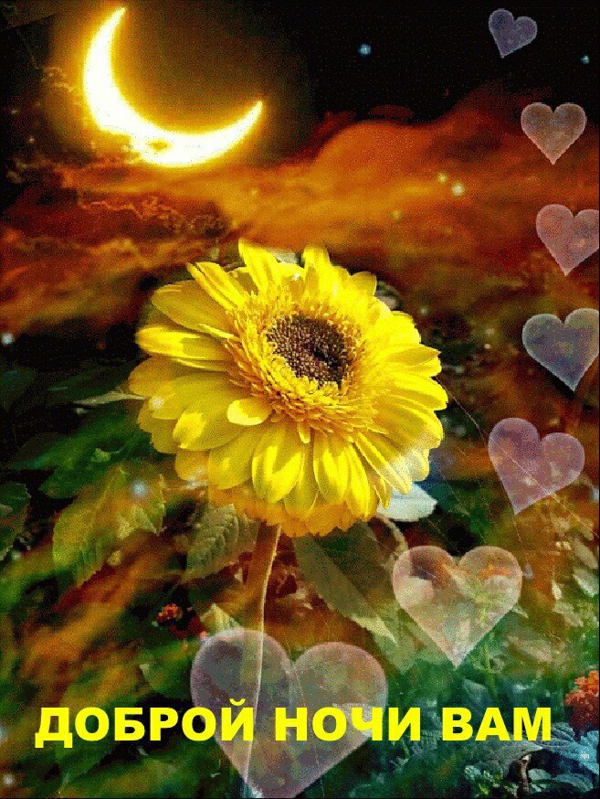   ,    . - 18  2021  22:32 - 2