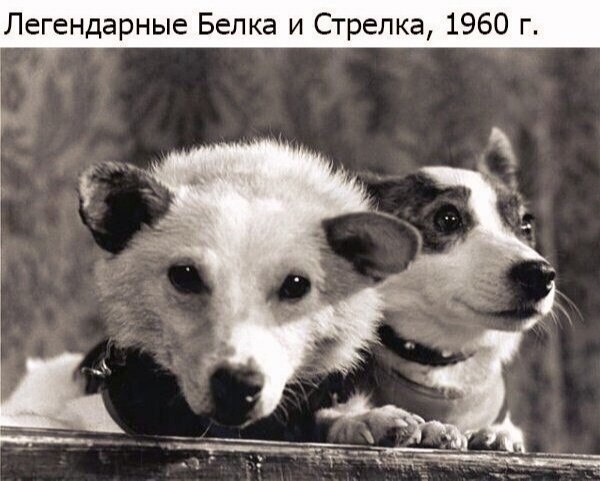 e  Cea