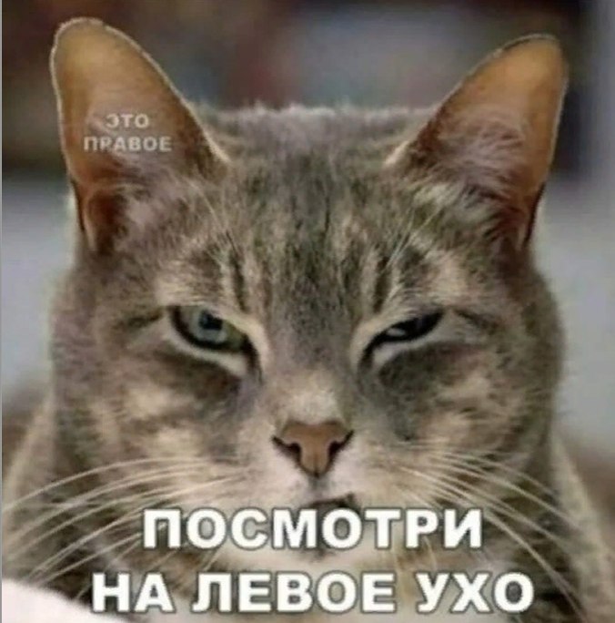 (^///^)
