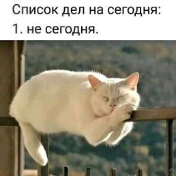 ����, ������, 66 ���