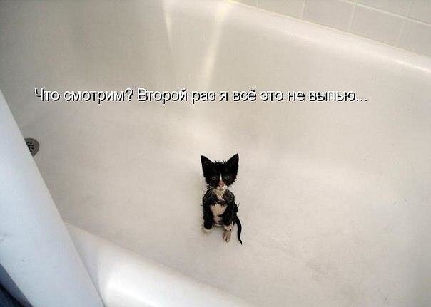 ��� �������� �������� - 6 ������ 2021 � 11:19