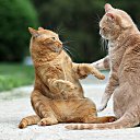 ���� �������, �������������, 35 ��� - ��������� 15 ���� 2021 � ������ ���� ����������