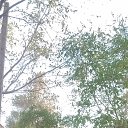 ���� Diman, ���������, 45 ��� - ��������� 5 ������ 2021 � ������ ���� ����������