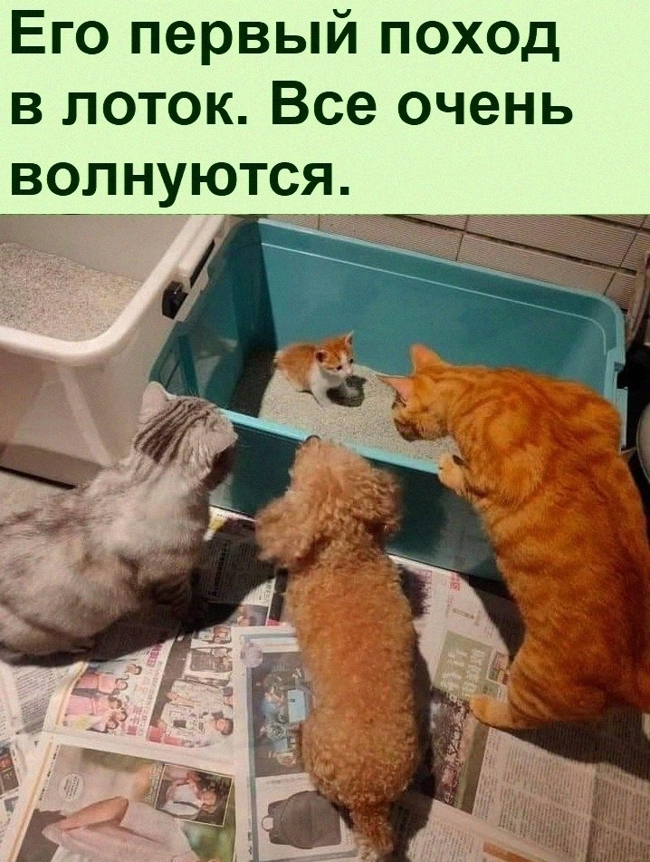   :D - 29  2021  14:27
