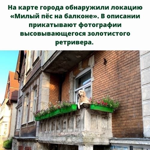 ,     .     - 2