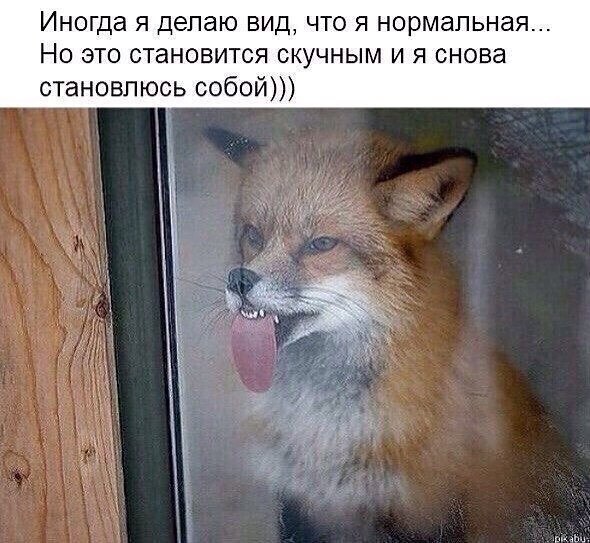 ***Victoria Viktorovna*** - 23  2022  08:35